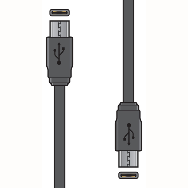 Image of USB TYPE C - USB TYPE C SYNC & CHARGE LEAD