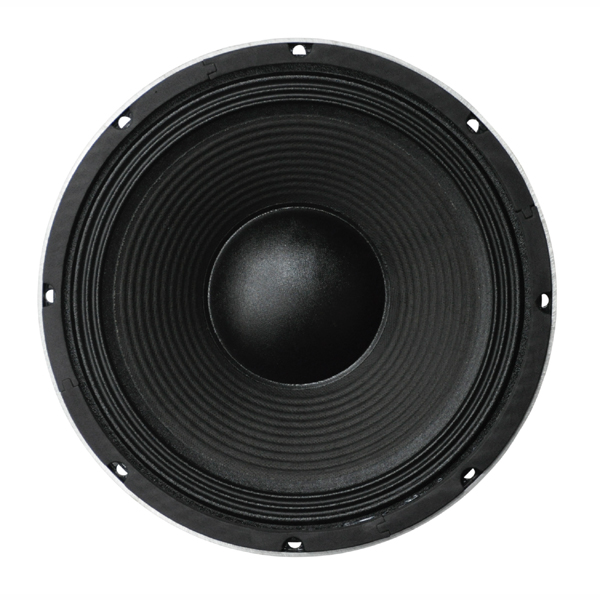 Image of CHASSIS - 10in. SPEAKER 200 WATT RMS 8 OHM