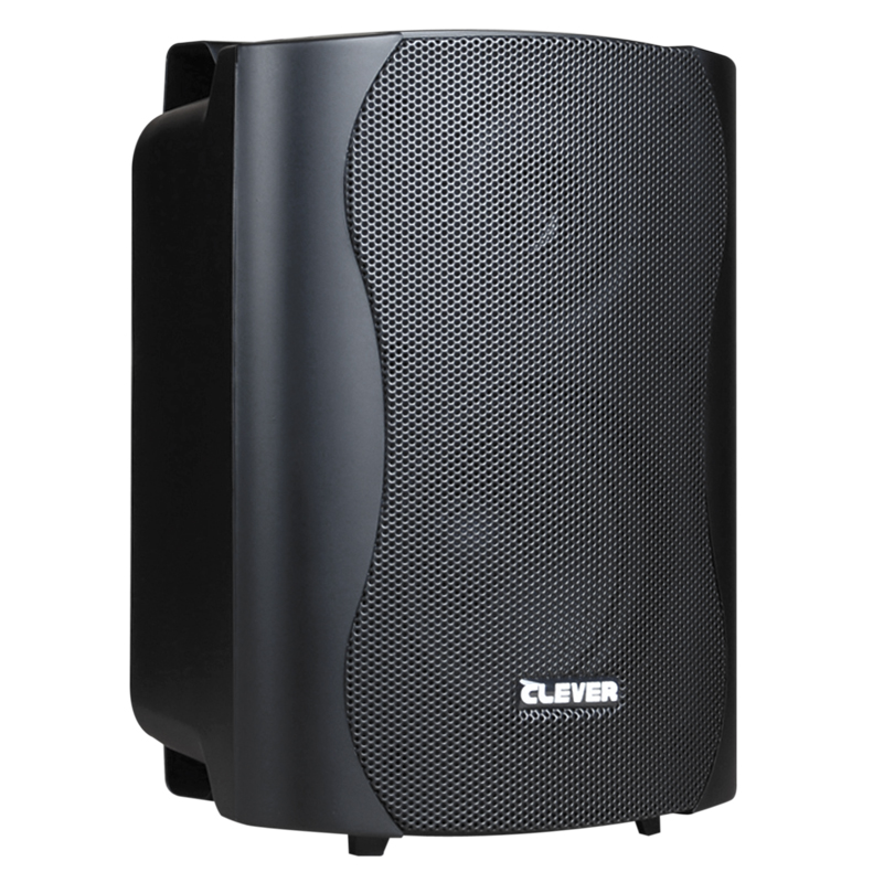 Image of CLEVER ACOUSTICS BGS25 BLACK 8 OHMS 25 WATTS RMS