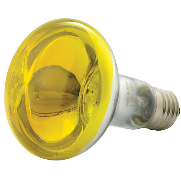 Product picture for N127