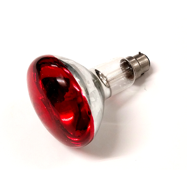 Image of R95 REFLECTOR SPOTLIGHT -   BC RED